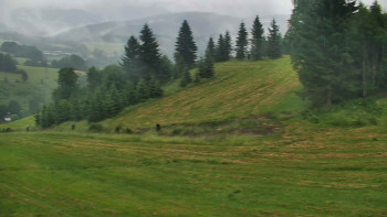 Snímek    7.7.2025 v 07:00