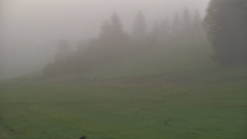 Snímek    16.7.2025 v 05:00