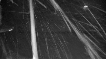 Snímek    2.11.2025 v 23:00