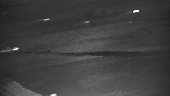 Snímek    4.11.2025 v 00:00