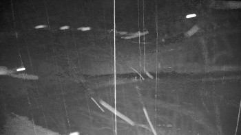 Snímek 8.11.2025 v 19:00