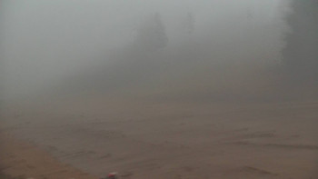 Snímek    10.11.2025 v 07:00