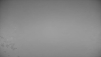 Snímek    10.11.2025 v 17:00