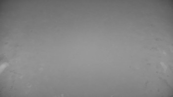 Snímek    10.11.2025 v 19:00