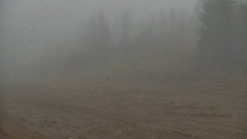 Snímek    11.11.2025 v 08:00