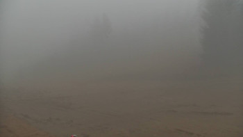 Snímek 13.11.2025 v 08:00