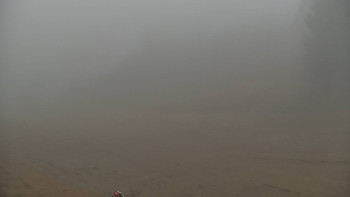 Snímek    13.11.2025 v 10:00