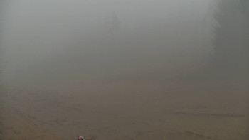 Snímek    13.11.2025 v 14:00