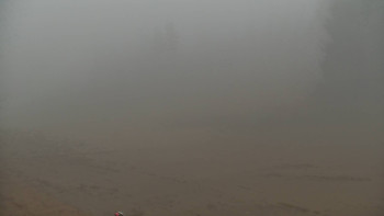 Snímek 13.11.2025 v 15:00