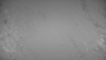 Snímek    13.11.2025 v 19:00