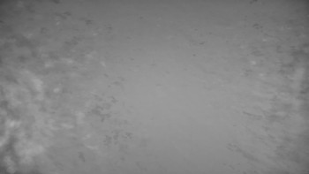 Snímek    13.11.2025 v 23:00