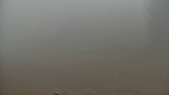 Snímek    14.11.2025 v 08:00