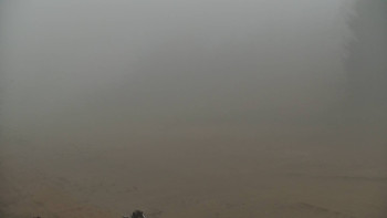 Snímek    14.11.2025 v 12:00