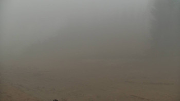 Snímek    14.11.2025 v 13:00