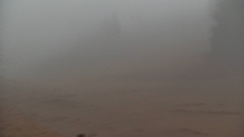 Snímek    14.11.2025 v 16:01