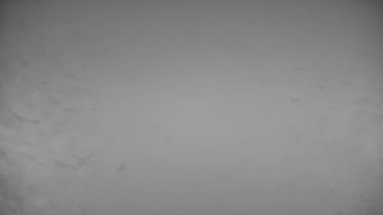 Snímek    14.11.2025 v 17:00