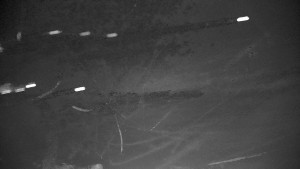 Ski areál Branná - Ski Branná - horní kamera - 16.11.2025 v 06:00 Ski areál Branná - Ski Branná - horní kamera - 16.11.2025 v 06:00