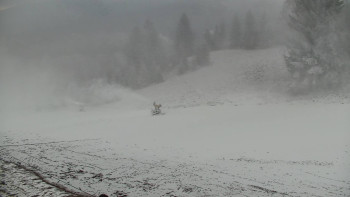 Snímek    19.11.2025 v 08:00