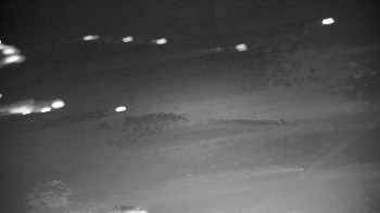 Snímek    20.11.2025 v 19:00