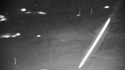 Ski Branná - horní kamera