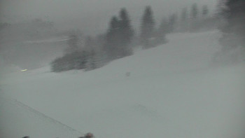 Snímek    24.11.2025 v 07:00