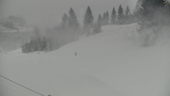 Snímek    24.11.2025 v 10:00