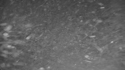 Ski Branná - horní kamera