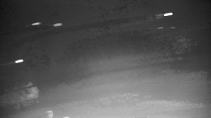 Ski areál Branná - Ski Branná - horní kamera - 17.12.2025 v 01:00