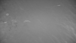 Ski Branná - horní kamera