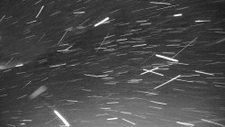 Ski Branná - horní kamera