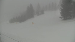 Ski Branná - horní kamera