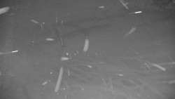 Ski Branná - horní kamera