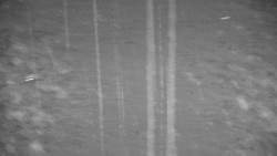 Ski Branná - horní kamera