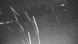 Ski Branná - horní kamera