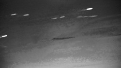 Ski Branná - horní kamera