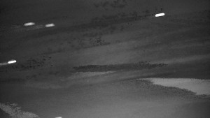 Ski areál Branná - Ski Branná - horní kamera - 3.4.2026 v 02:01