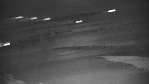 Ski areál Branná - Ski Branná - horní kamera - 3.4.2026 v 04:01