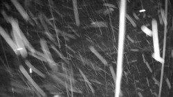 Ski Branná - horní kamera
