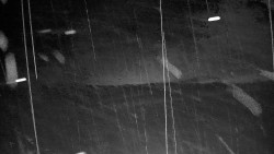 Ski Branná - horní kamera