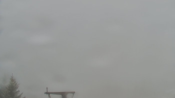 Snímek    15.5.2025 v 09:00