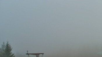 Snímek    4.11.2025 v 08:00