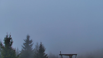 Snímek    14.11.2025 v 16:00