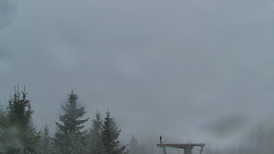 Panorama Jižní svahy, Hotel, Nástup