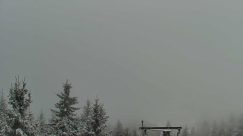 Snímek    19.11.2025 v 10:30