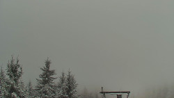 Panorama Jižní svahy, Hotel, Nástup 