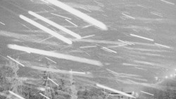 Panorama Jižní svahy, Hotel, Nástup