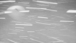 Panorama Jižní svahy, Hotel, Nástup 