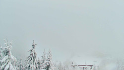 Panorama Jižní svahy, Hotel, Nástup