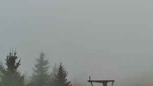 Červenohorské sedlo - Panorama Jižní svahy, Hotel, Nástup "Žlutá" - 8.12.2025 v 08:30