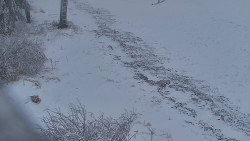 Panorama Jižní svahy, Hotel, Nástup 